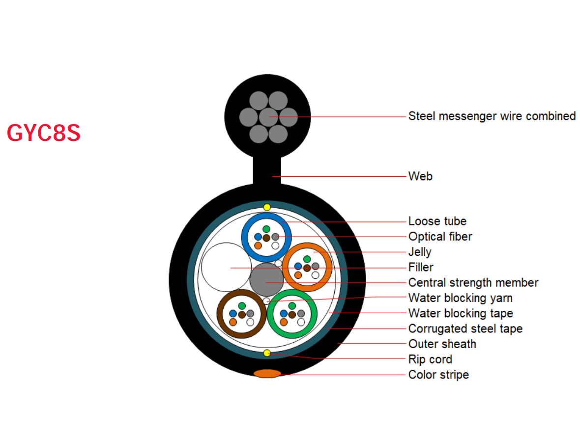 GYC8S Cross-Section Structure