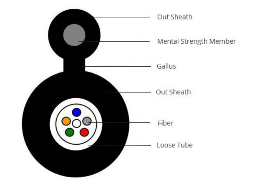 GYFXTC8Y Cross-Section