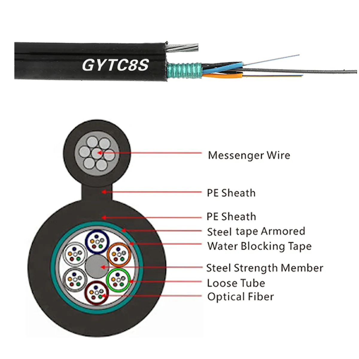 GYTC8S Cross-Section