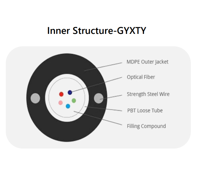 GYXTY Cross-Section