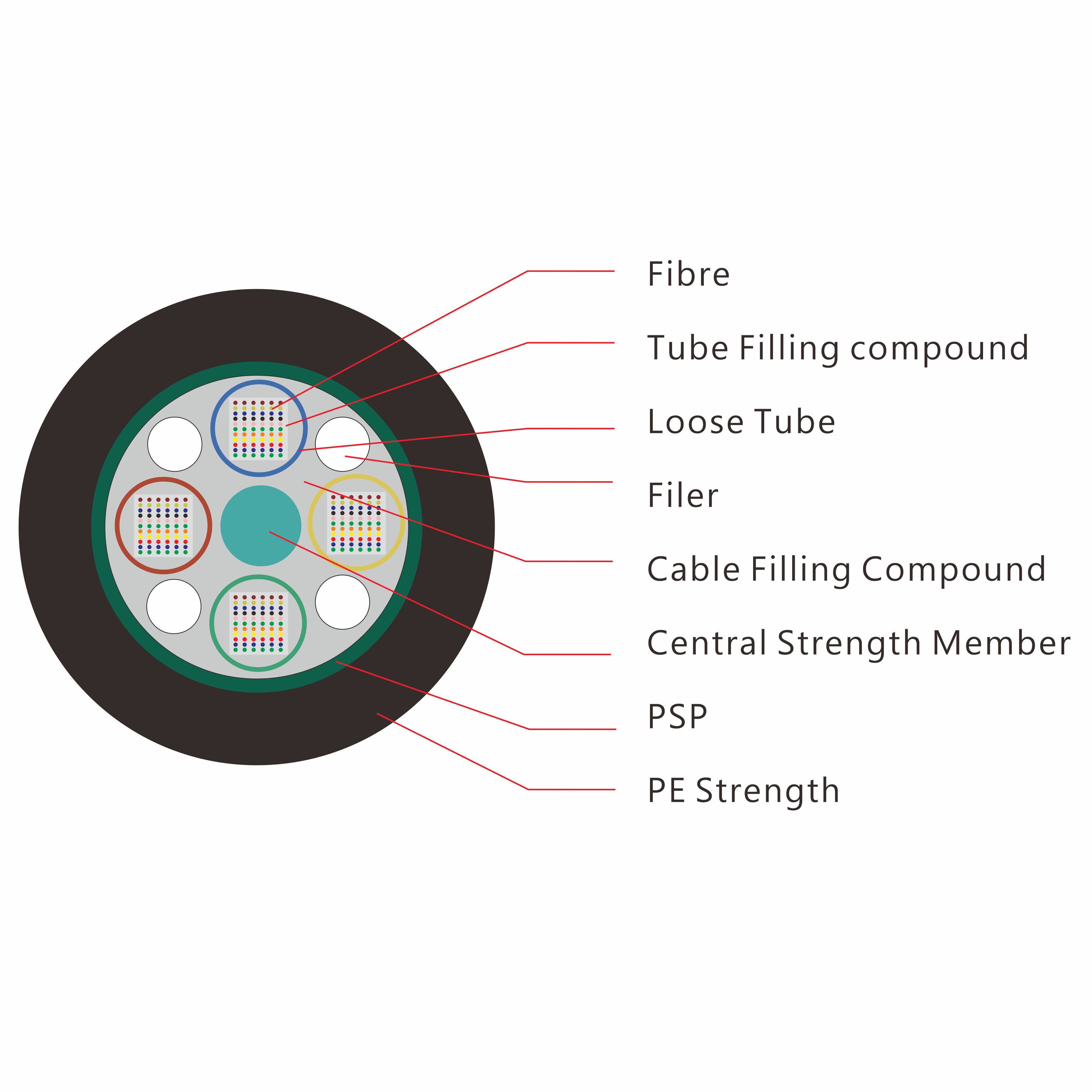GYDTS Cross-Section