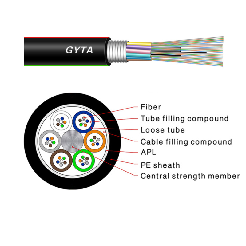 GYTA Cross-Section