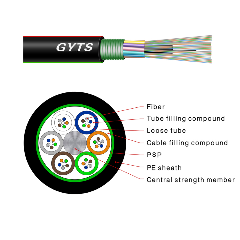 GYTS Cross-Section