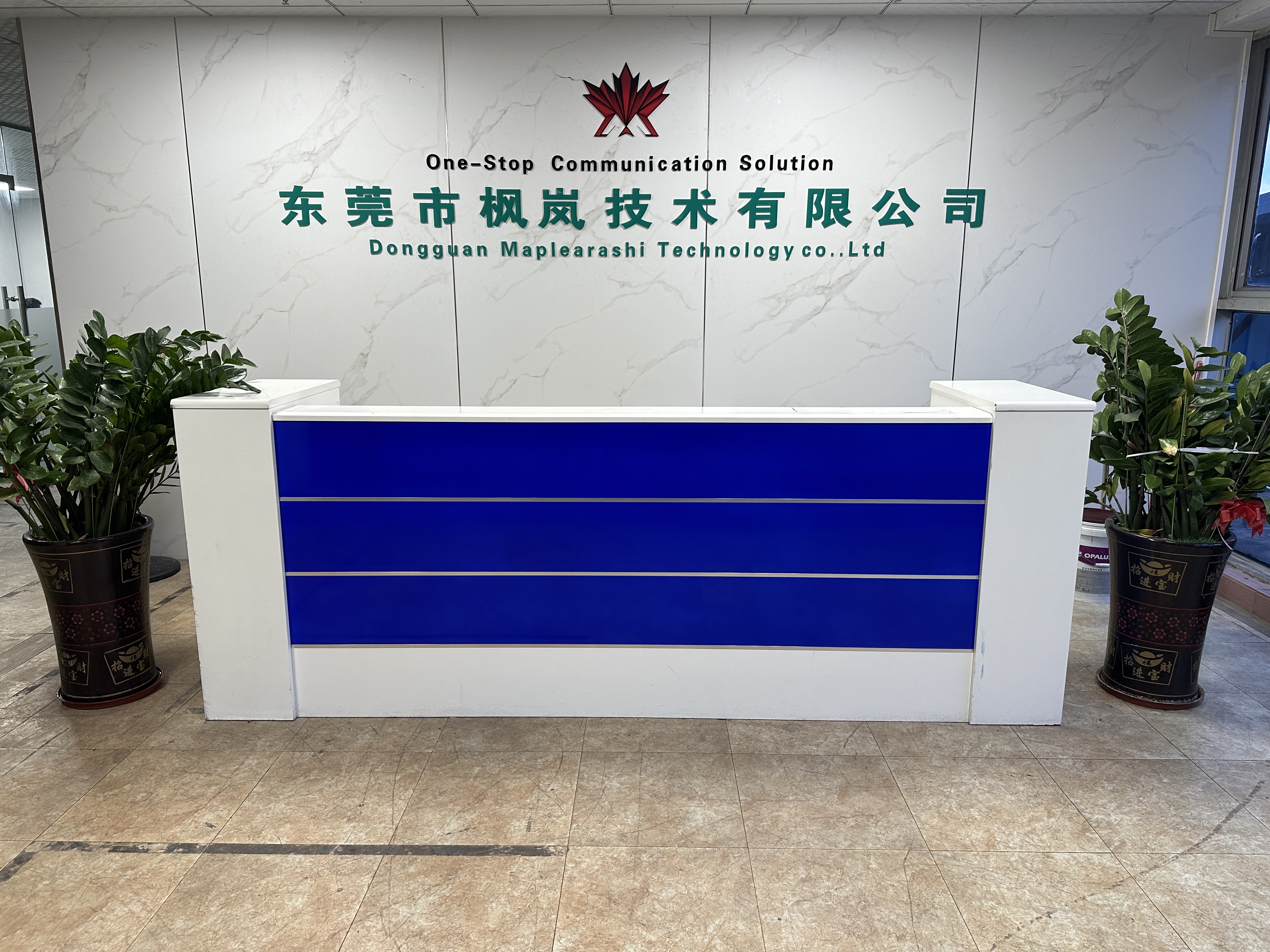 MapleArashi Dongguan reception